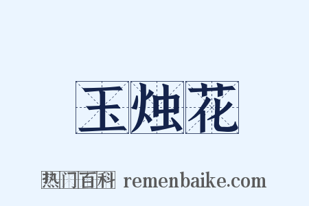 玉烛花是什么意思的图片